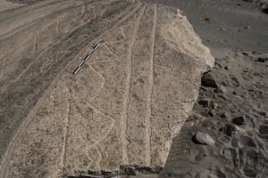 Piedra: 693, Cara decorada: I
