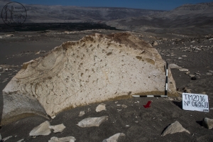 Piedra: 696, Cara decorada: II