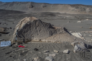 Piedra: 696, Cara decorada: I