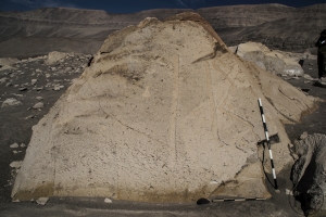 Piedra: 700, Cara decorada: IV