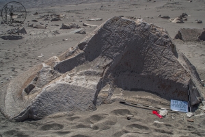 Piedra: 700, Cara decorada: I