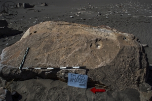 Piedra: 705, Cara decorada: I
