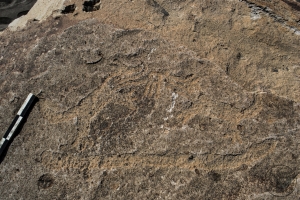 Piedra: 705, Cara decorada: I