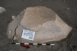 Piedra: 713, Cara decorada: I