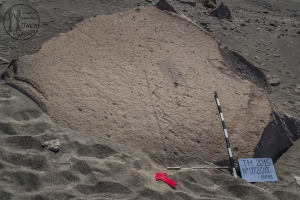 Piedra: 720, Cara decorada: I