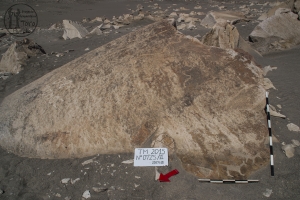 Piedra: 725, Cara decorada: II