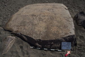 Piedra: 727, Cara decorada: I