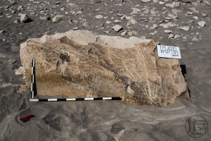 Piedra: 735, Cara decorada: I