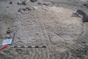 Piedra: 736, Cara decorada: I