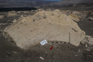 Piedra: 738, Cara decorada: I