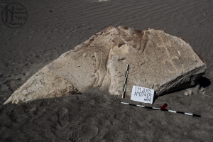 Piedra: 741, Cara decorada: I