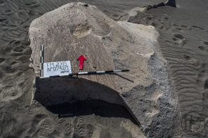 Piedra: 742, Cara decorada: I