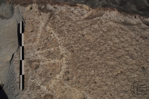 Piedra: 743, Cara decorada: I