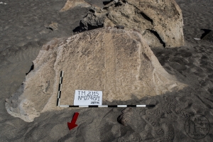 Piedra: 748, Cara decorada: I