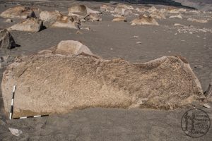 Piedra: 750, Cara decorada: I