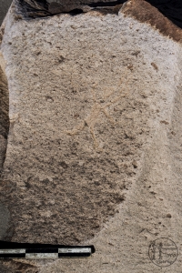 Piedra: 751, Cara decorada: I