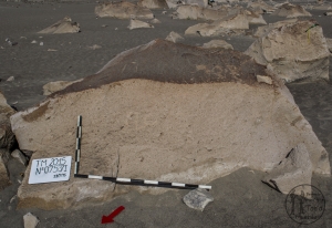 Piedra: 753, Cara decorada: I
