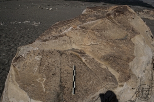 Piedra: 756, Cara decorada: II