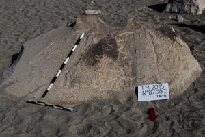 Piedra: 758, Cara decorada: I