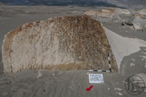 Piedra: 763, Cara decorada: II