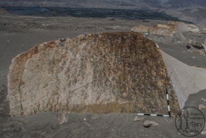 Piedra: 763, Cara decorada: II