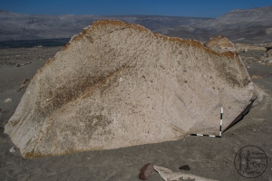 Piedra: 766, Cara decorada: I