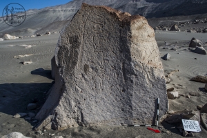Piedra: 769, Cara decorada: I