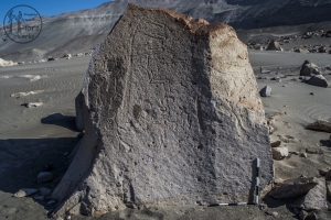 Piedra: 769, Cara decorada: I