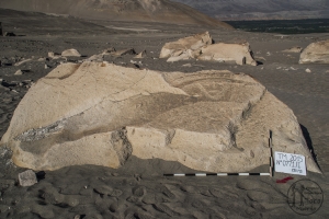 Piedra: 771, Cara decorada: I