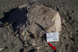 Piedra: 772, Cara decorada: I