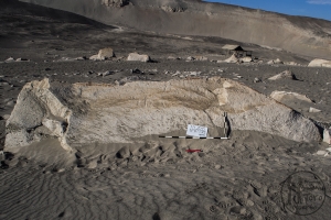 Piedra: 773, Cara decorada: I
