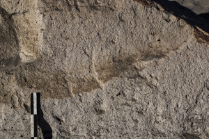 Piedra: 773, Cara decorada: I