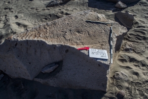 Piedra: 775, Cara decorada: I