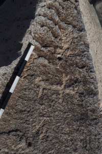 Piedra: 775, Cara decorada: I