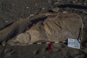 Piedra: 778, Cara decorada: II