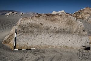Piedra: 779, Cara decorada: I