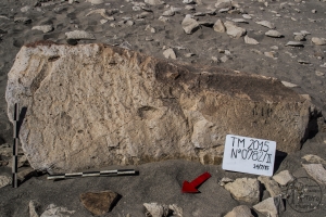 Piedra: 782, Cara decorada: II