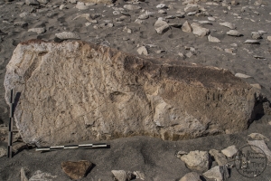 Piedra: 782, Cara decorada: II
