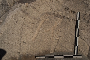 Piedra: 786, Cara decorada: IV