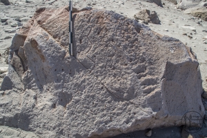 Piedra: 789, Cara decorada: I