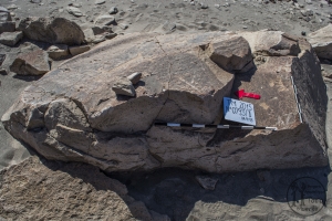 Piedra: 793, Cara decorada: II
