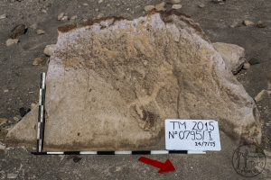 Piedra: 795, Cara decorada: I