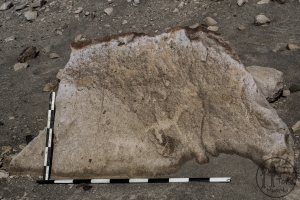Piedra: 795, Cara decorada: I