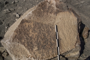Piedra: 796, Cara decorada: I