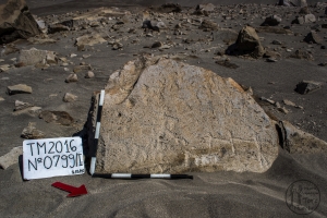Piedra: 799, Cara decorada: I