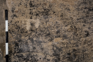Piedra: 800, Cara decorada: I