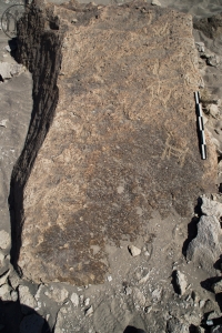 Piedra: 801, Cara decorada: I