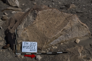 Piedra: 815, Cara decorada: I