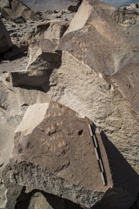 Piedra: 817, Cara decorada: II