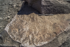 Piedra: 822, Cara decorada: I